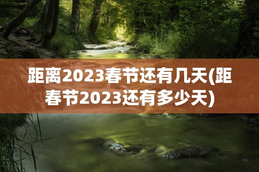 距离2023春节还有几天(距春节2023还有多少天)