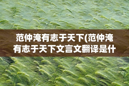 范仲淹有志于天下(范仲淹有志于天下文言文翻译是什么)