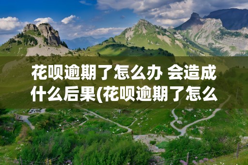 花呗逾期了怎么办 会造成什么后果(花呗逾期了怎么办会造成什么后果)