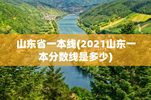 山东省一本线(2021山东一本分数线是多少)