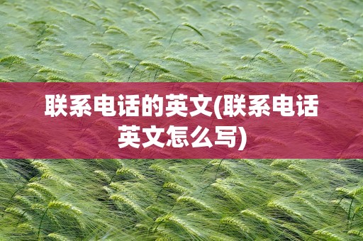 联系电话的英文(联系电话英文怎么写)