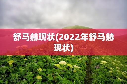 舒马赫现状(2022年舒马赫现状)