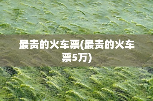 最贵的火车票(最贵的火车票5万)