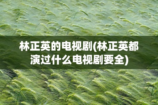 林正英的电视剧(林正英都演过什么电视剧要全)