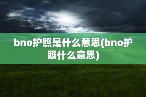 bno护照是什么意思(bno护照什么意思)