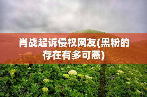 肖战起诉侵权网友(黑粉的存在有多可恶)