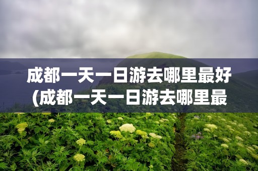 成都一天一日游去哪里最好(成都一天一日游去哪里最好6月)