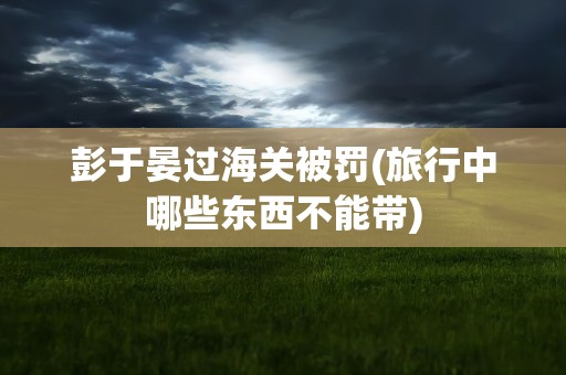 彭于晏过海关被罚(旅行中哪些东西不能带)