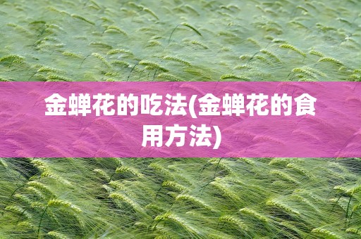 金蝉花的吃法(金蝉花的食用方法)