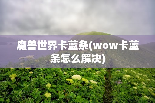 魔兽世界卡蓝条(wow卡蓝条怎么解决)