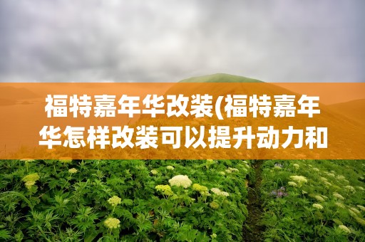 福特嘉年华改装(福特嘉年华怎样改装可以提升动力和抓地力)