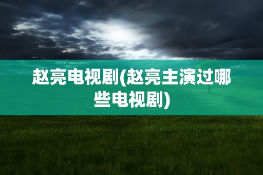 赵亮电视剧(赵亮主演过哪些电视剧)