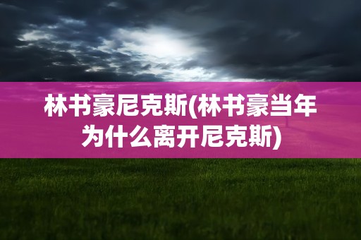 林书豪尼克斯(林书豪当年为什么离开尼克斯)