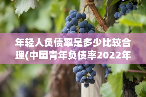 年轻人负债率是多少比较合理(中国青年负债率2022年)