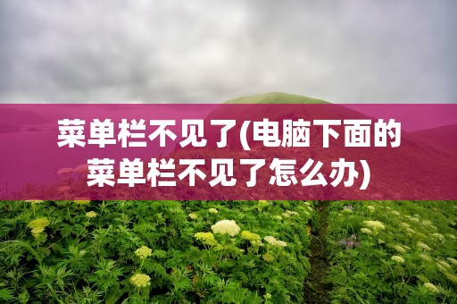 菜单栏不见了(电脑下面的菜单栏不见了怎么办)