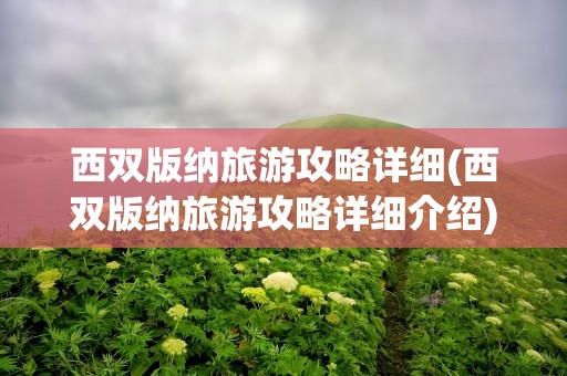 西双版纳旅游攻略详细(西双版纳旅游攻略详细介绍)