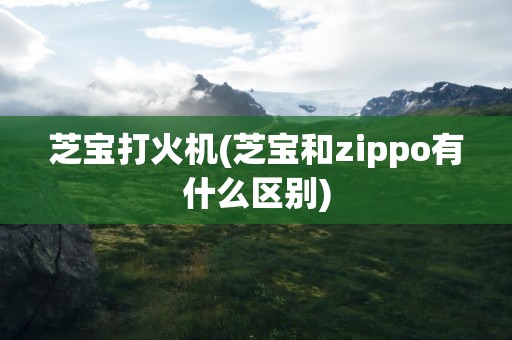 芝宝打火机(芝宝和zippo有什么区别)