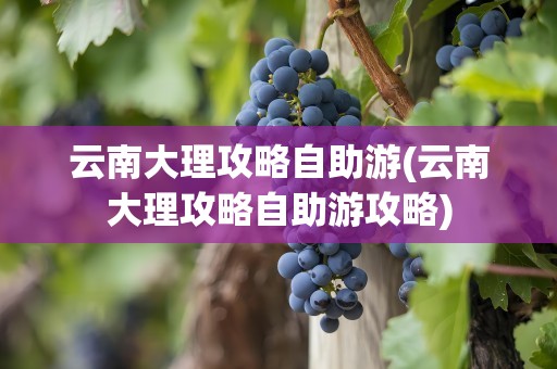 云南大理攻略自助游(云南大理攻略自助游攻略)