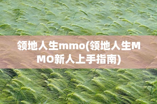 领地人生mmo(领地人生MMO新人上手指南)