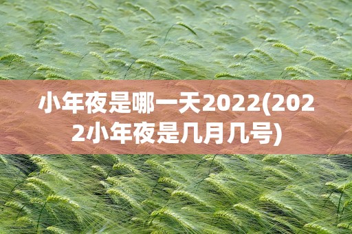 小年夜是哪一天2022(2022小年夜是几月几号)