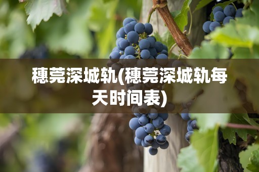 穗莞深城轨(穗莞深城轨每天时间表)