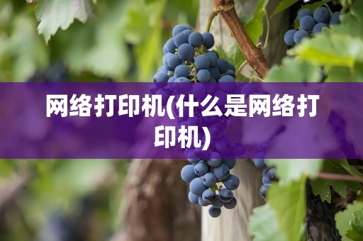 网络打印机(什么是网络打印机)