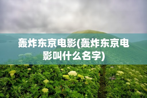 轰炸东京电影(轰炸东京电影叫什么名字)