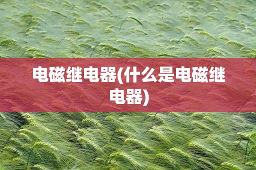 电磁继电器(什么是电磁继电器)