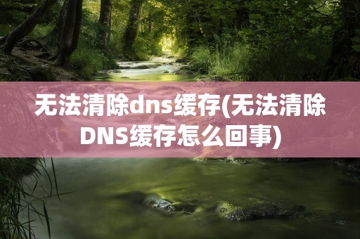 无法清除dns缓存(无法清除DNS缓存怎么回事)