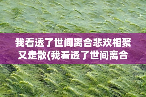 我看透了世间离合悲欢相聚又走散(我看透了世间离合悲欢相聚又走散是什么歌)