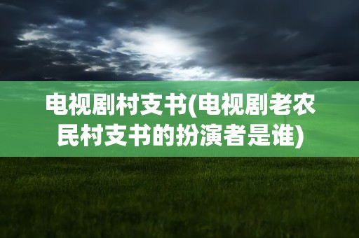 电视剧村支书(电视剧老农民村支书的扮演者是谁)