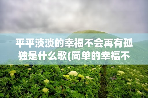 平平淡淡的幸福不会再有孤独是什么歌(简单的幸福不会再有孤独是什么歌)