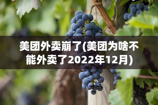 美团外卖崩了(美团为啥不能外卖了2022年12月)