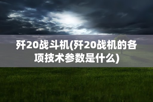 歼20战斗机(歼20战机的各项技术参数是什么)