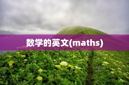 数学的英文(maths)