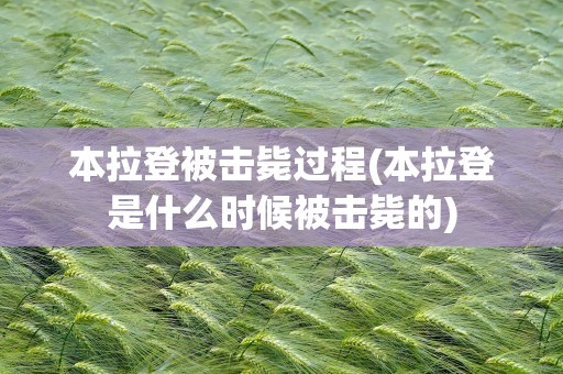 本拉登被击毙过程(本拉登是什么时候被击毙的)