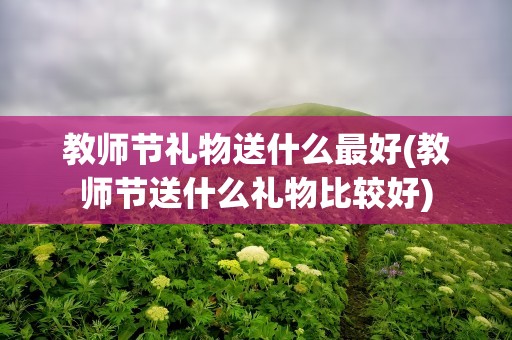 教师节礼物送什么最好(教师节送什么礼物比较好)