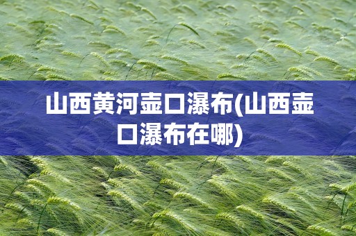 山西黄河壶口瀑布(山西壶口瀑布在哪)