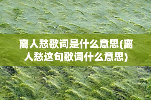 离人愁歌词是什么意思(离人愁这句歌词什么意思)