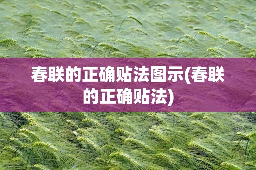 春联的正确贴法图示(春联的正确贴法)