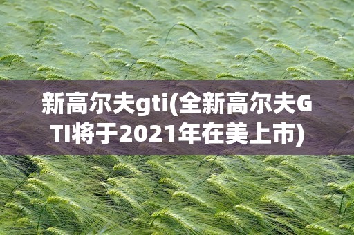 新高尔夫gti(全新高尔夫GTI将于2021年在美上市)