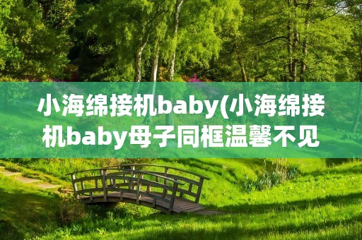 小海绵接机baby(小海绵接机baby母子同框温馨不见了黄晓明)