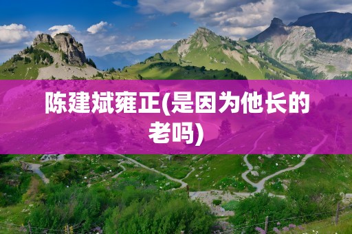 陈建斌雍正(是因为他长的老吗)