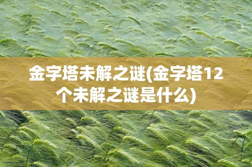 金字塔未解之谜(金字塔12个未解之谜是什么)