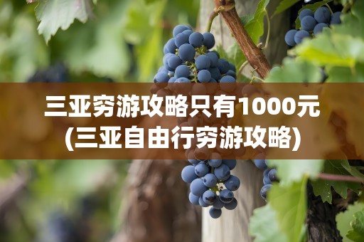 三亚穷游攻略只有1000元(三亚自由行穷游攻略)