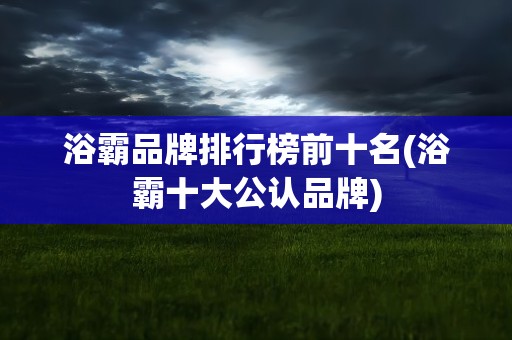 浴霸品牌排行榜前十名(浴霸十大公认品牌)