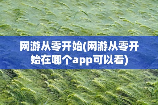 网游从零开始(网游从零开始在哪个app可以看)