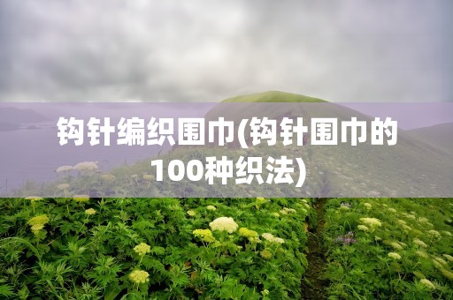 钩针编织围巾(钩针围巾的100种织法)