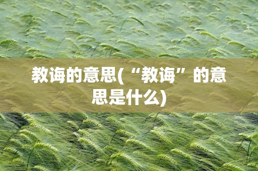 教诲的意思(“教诲”的意思是什么)