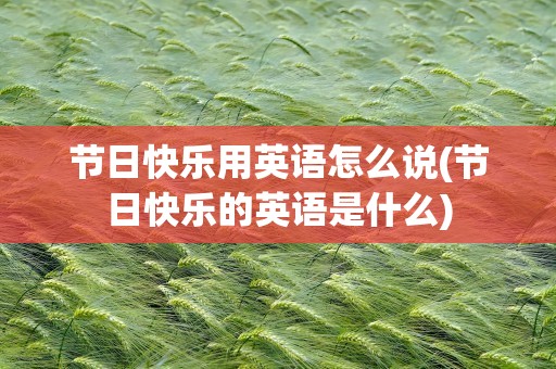 节日快乐用英语怎么说(节日快乐的英语是什么)